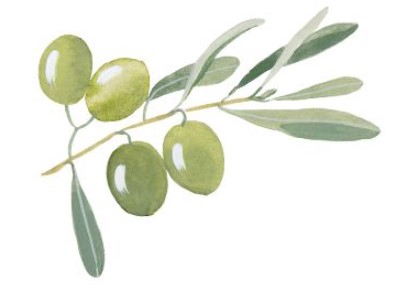 Image extrait de feuille d'olivier