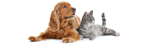 Médicaments homéopathiques pour les animaux de compagnie