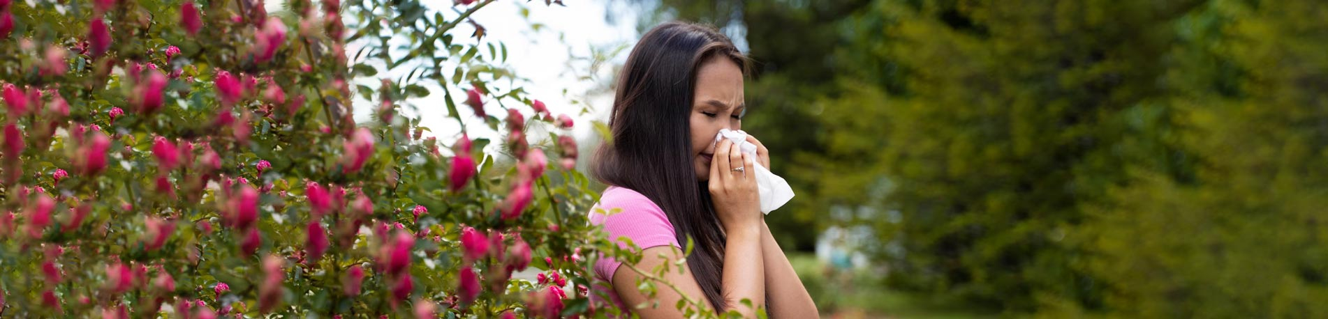 L'homéopathie contre les allergies saisonnières
