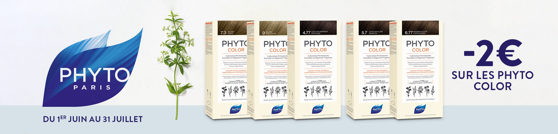 Promotion Phyto color