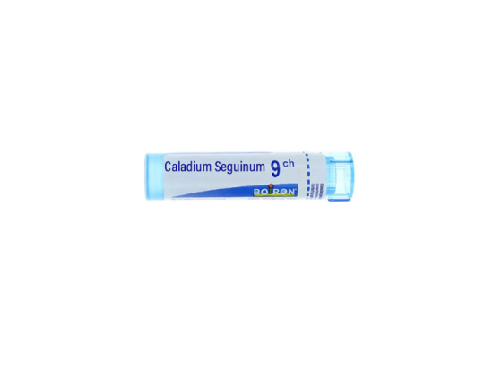 Boiron Caladium Seguinum 9CH Dose - 1g