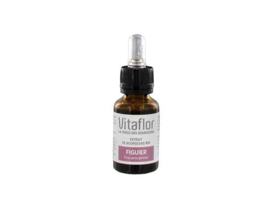Vitaflor Extrait de bourgeons Bio Figuier - 15 ml