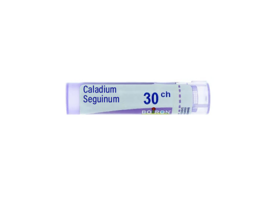 Boiron Caladium Seguinum 30CH Tube - 4 g