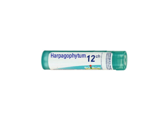 Boiron Harpagophytum 12CH Tube - 4 g