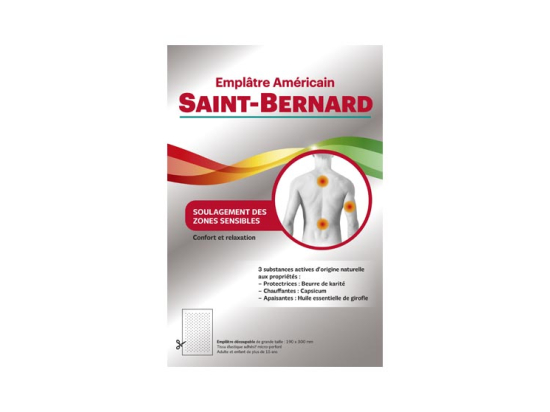Saint Bernard emplâtre grand modèle 20x30cm - x1