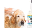 Shampooing Usage Fréquent Spécial Chien - 200ml