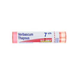 Boiron Verbascum Thapsus 9CH Tube - 4 g