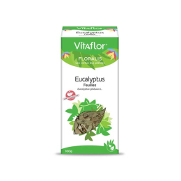 Vitaflor tisane eucalyptus en vrac boite/100g