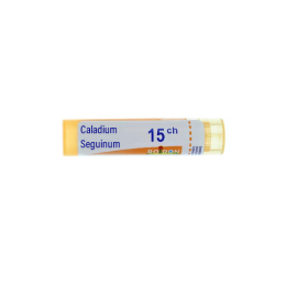Boiron Caladium Seguinum 15CH Dose - 1g
