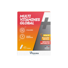 Multivitamines Global - 45 gélules