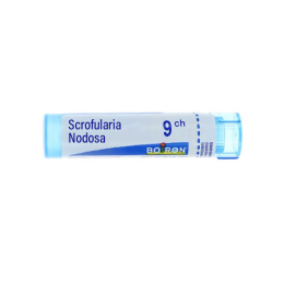 Boiron Scrofularia Nodosa 9CH Tube - 4 g