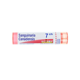 Boiron Sanguinaria Canadensis 7CH Tube - 4g