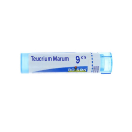 Boiron Teucrium Marum 9CH Tube - 4 g