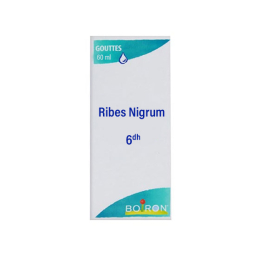 Boiron Ribes Nigrum 6DH Gouttes - 60 ml