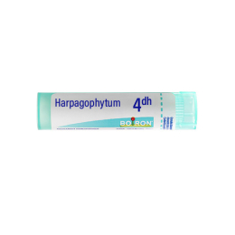 Boiron Harpagophytum 4DH Tube - 4 g