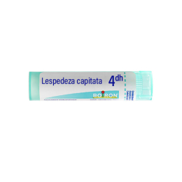 Boiron Lespedeza capitata 4DH Tube - 4g