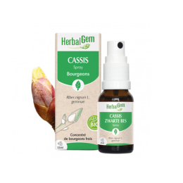 Herbalgem Spray Cassis BIO - 15ml