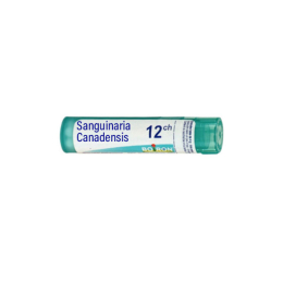 Boiron Sanguinaria Canadensis 12CH Dose - 1g