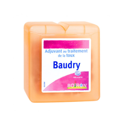 Boiron Pâtes Baudry - 70 g