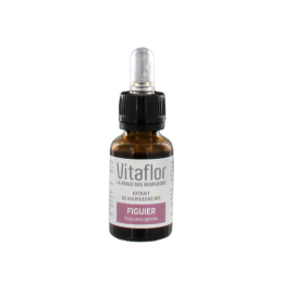 Vitaflor Extrait de bourgeons Bio Figuier - 15 ml