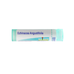 Boiron Echinacea Angustifolia 6DH Tube - 4 g