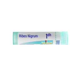Boiron Ribes Nigrum 1DH Tube -  4 g