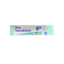 Boiron Rhus Toxicodendron 6CH Tube - 4 g