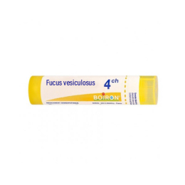 Boiron Fucus vesiculosus 4CH Tube - 4g