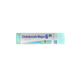 Boiron Chelidonium Majus 6DH Tube - 4g