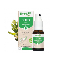Herbalgem Spray Figuier BIO - 15ml