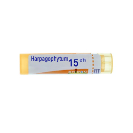 Boiron Harpagophytum 15CH Tube - 4 g
