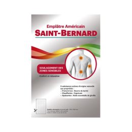 Saint Bernard emplâtre grand modèle 20x30cm - x1