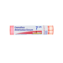 Boiron Ceanothus Americanus Siccum 7CH Tube - 4 g