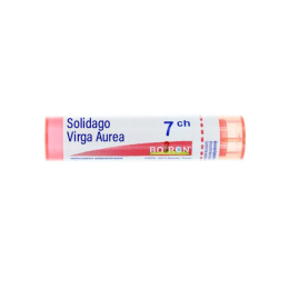 Boiron Solidago Virga Aurea 7CH Tube - 4 g