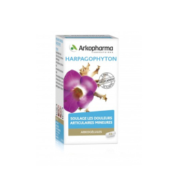 Arkopharma Arkogélules Harpagophyton - 45 gélules