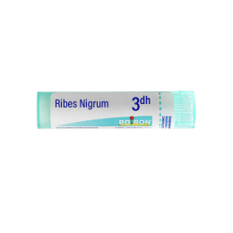 Boiron Ribes Nigrum 3DH Tube - 4 g
