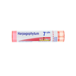Boiron Harpagophytum 7CH Tube - 4 g