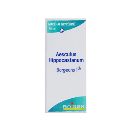 Boiron Aesculus Hippocastanum 1DH Macérat glycériné - 60 ml