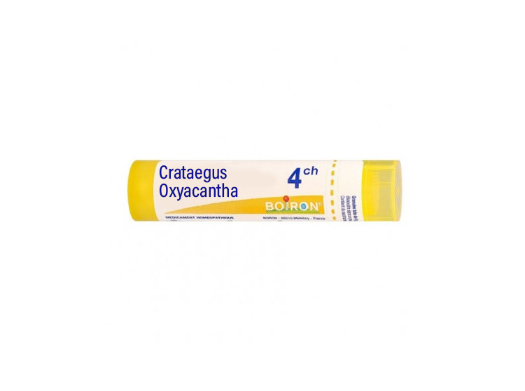 Boiron Crataegus Oxyacantha 4CH Tube - 4g