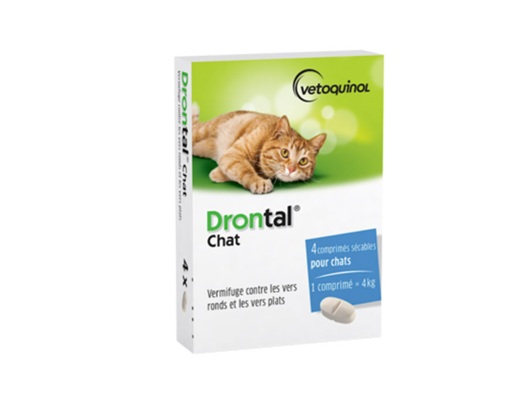 Drontal Chat - 4 comprimés
