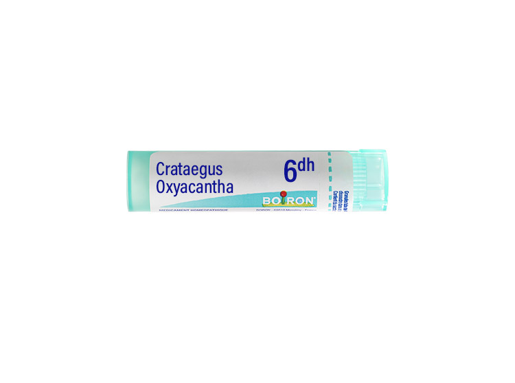 Boiron Crataegus Oxyacantha 6DH Tube - 4g