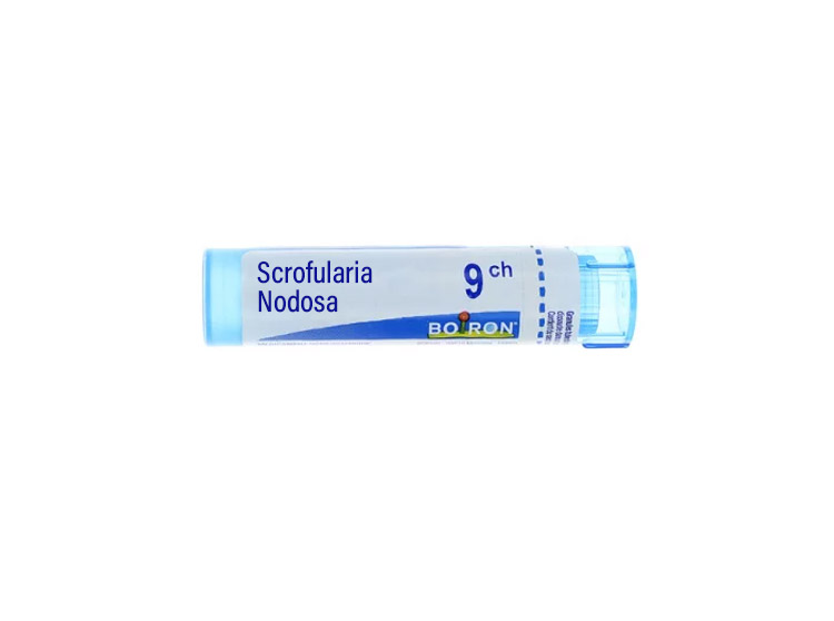 Boiron Scrofularia Nodosa 9CH Tube - 4 g