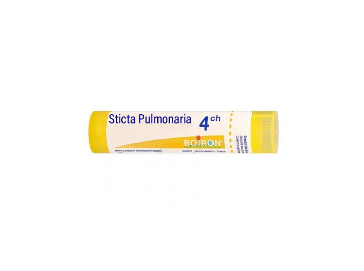 Boiron Sticta Pulmonaria 4CH Tube - 4 g