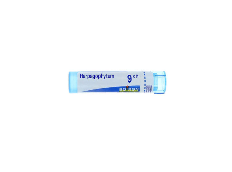 Boiron Harpagophytum 9CH Dose - 1 g