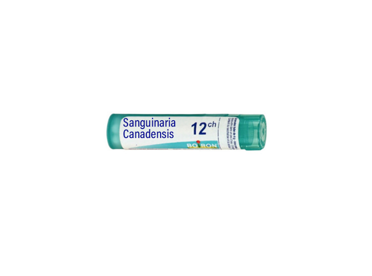 Boiron Sanguinaria Canadensis 12CH Dose - 1g