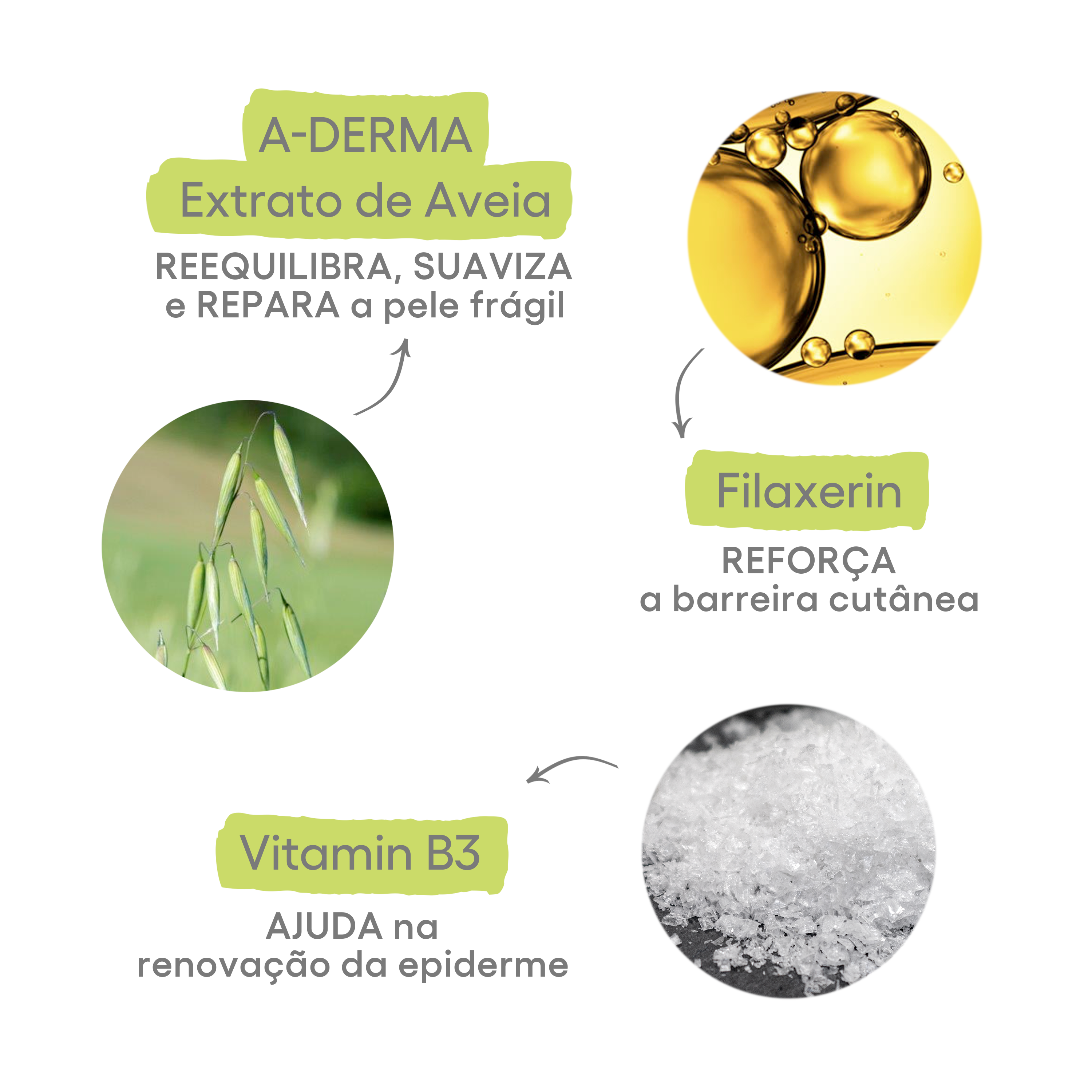 Pricipal actif : Avoine Rhealba® :