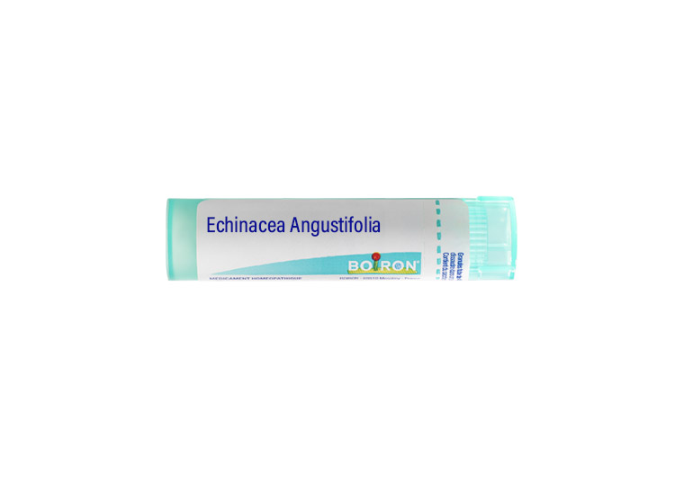 Boiron Echinacea Angustifolia 4DH Tube - 4 g