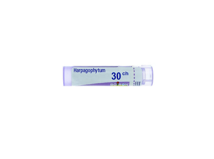 Boiron Harpagophytum 30CH Dose - 1 g