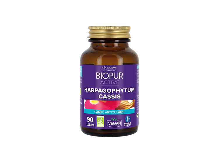 BIOPUR Active Harpagophytum Cassis BIO - 90 gélules