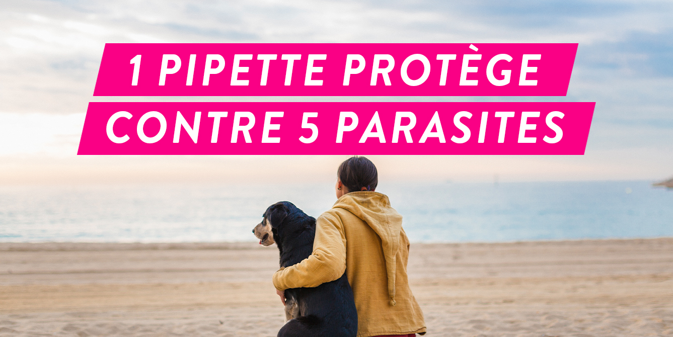 Frontline tri-Act protège contre 5 parasites